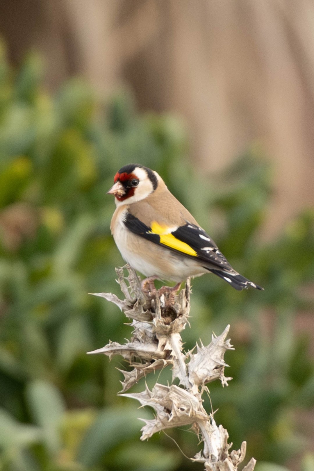 DSC_1497-Migliorato-NR