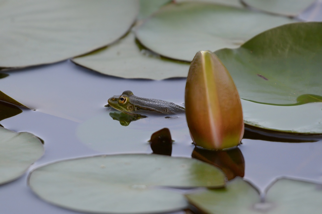 ????????????????????????????????????