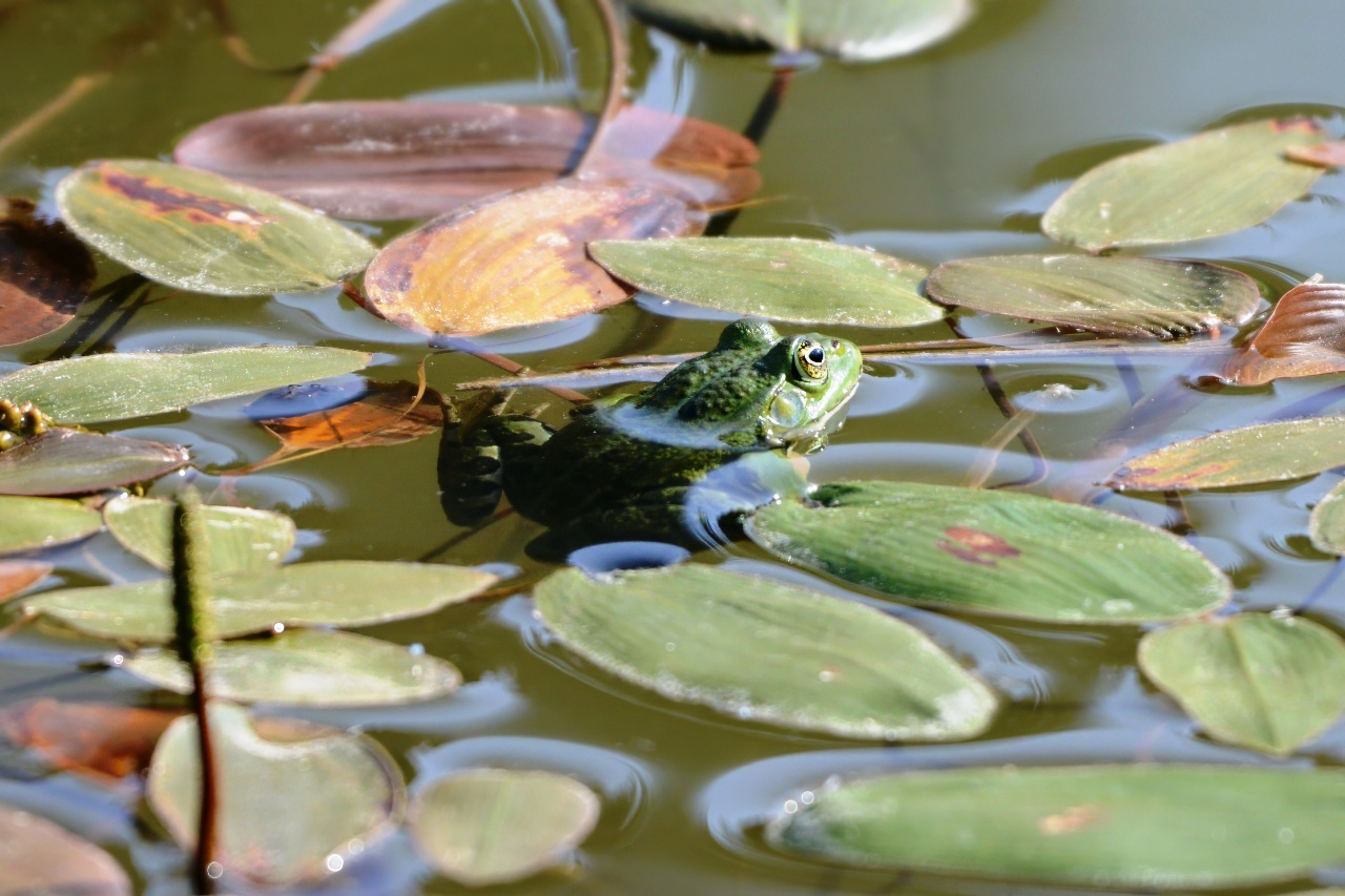 ????????????????????????????????????