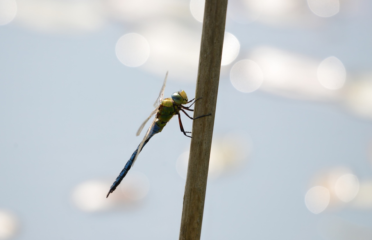 ????????????????????????????????????