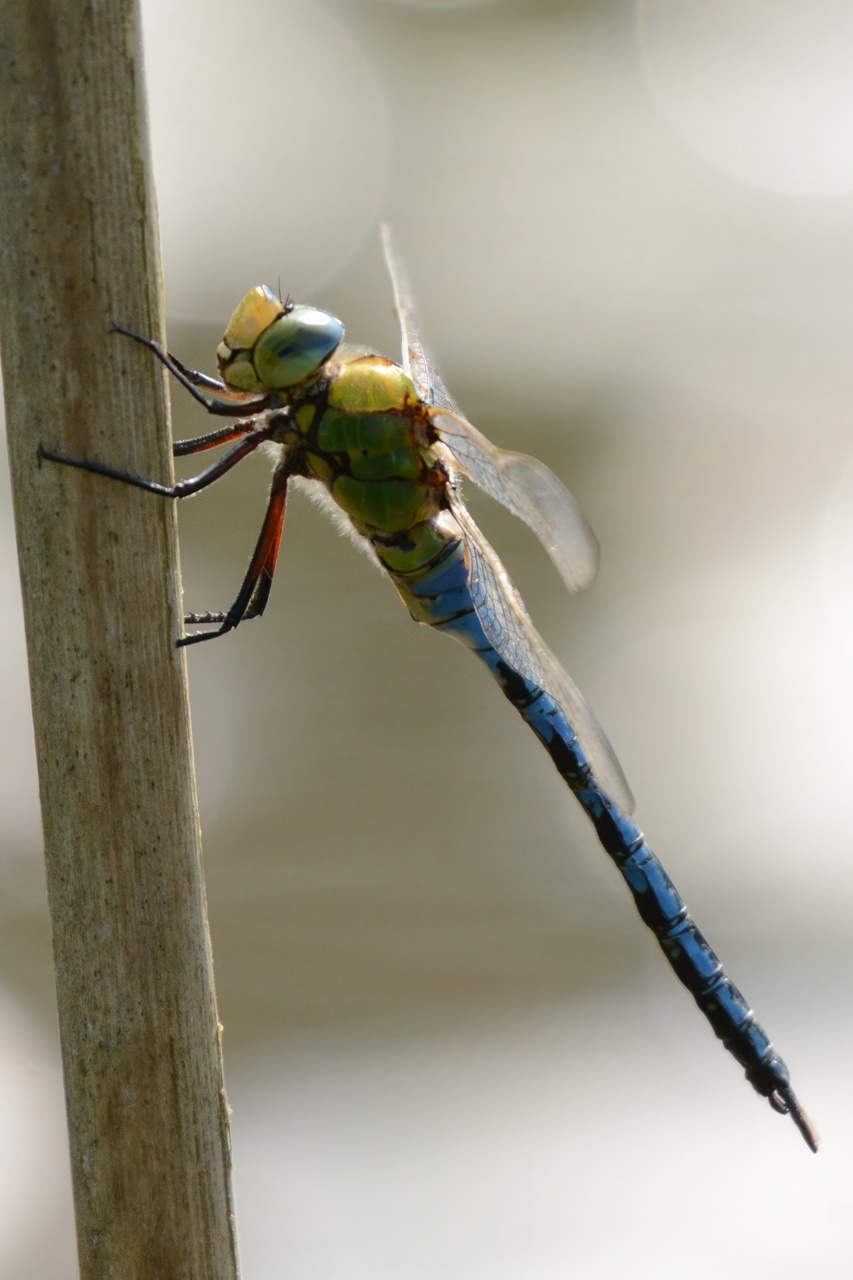 ????????????????????????????????????