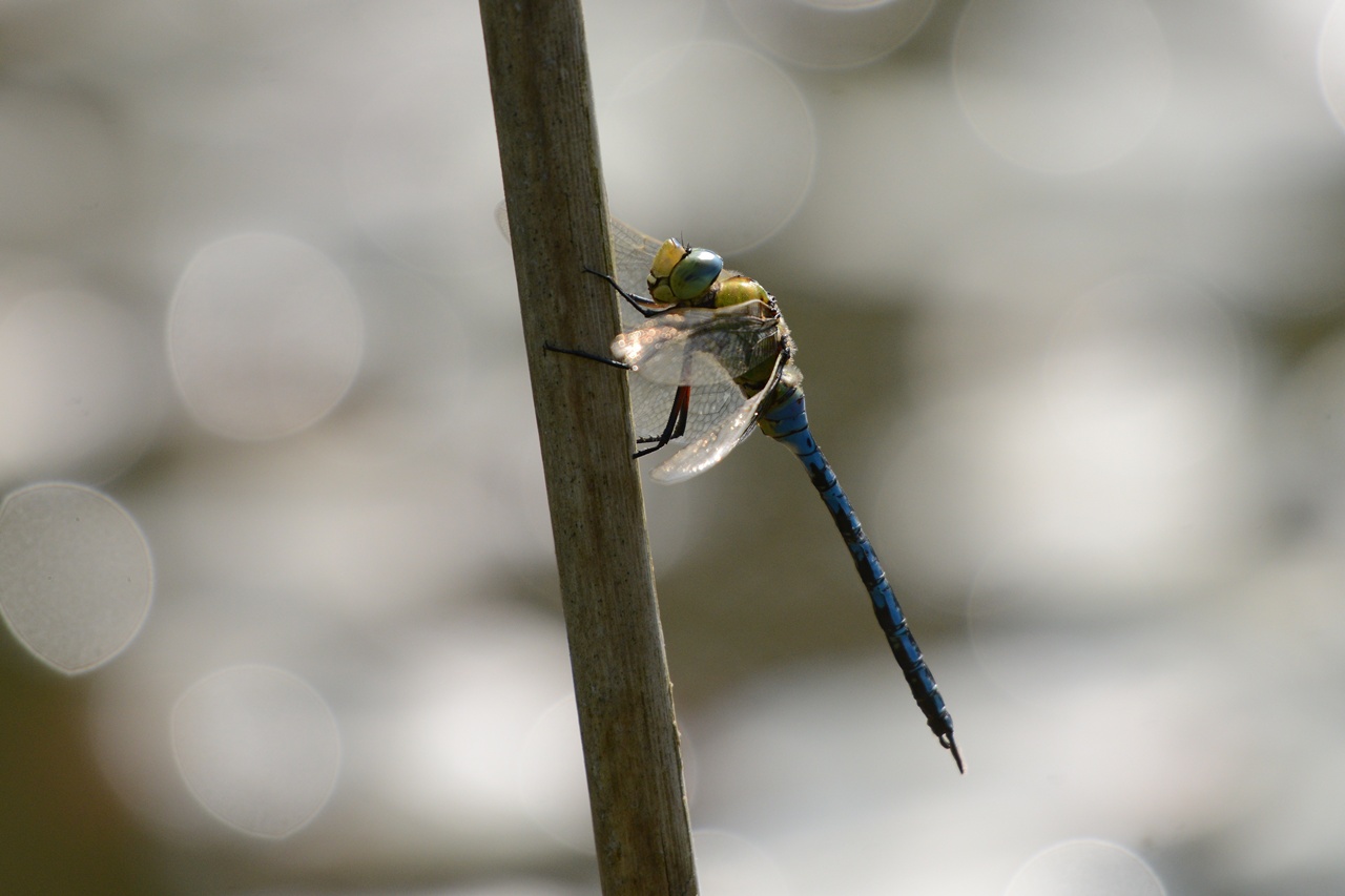 ????????????????????????????????????