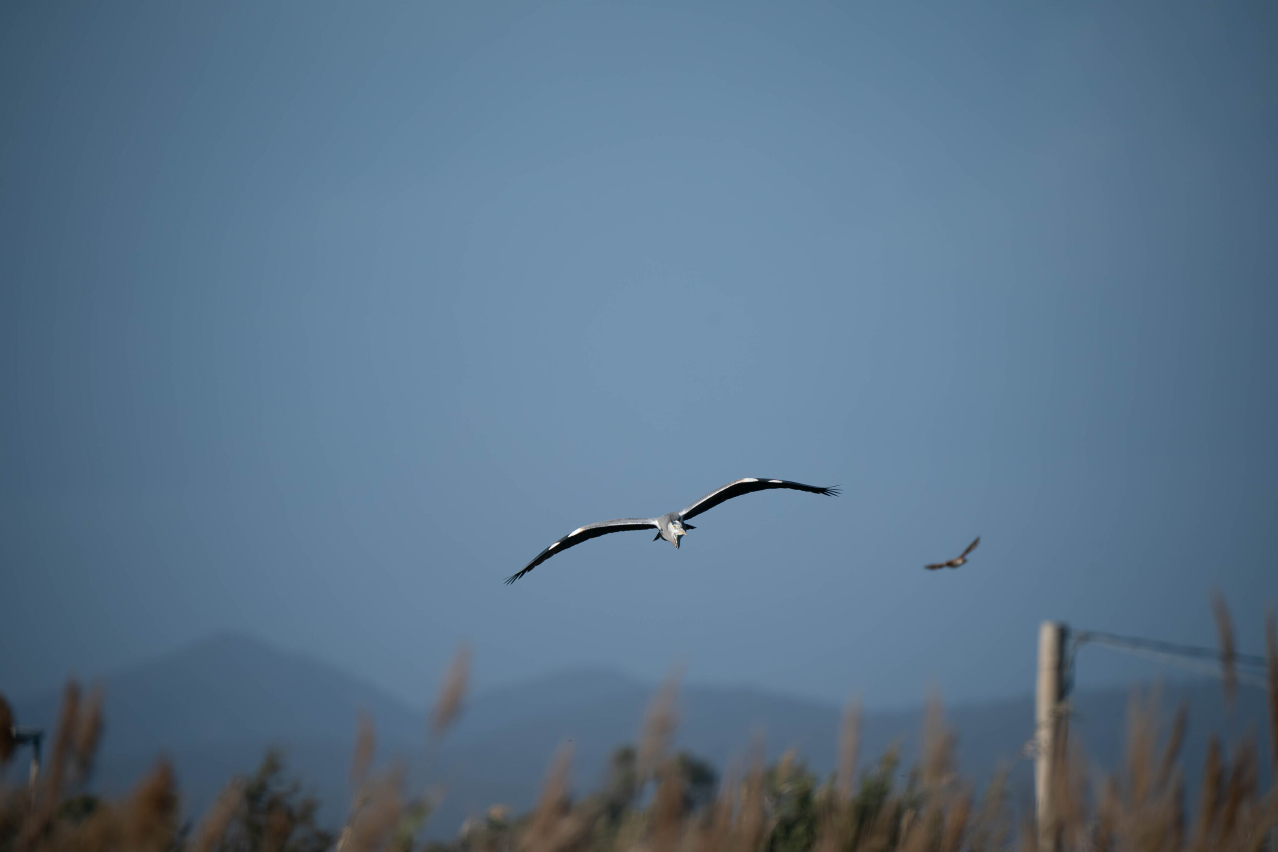 A9_00086-Migliorato-NR